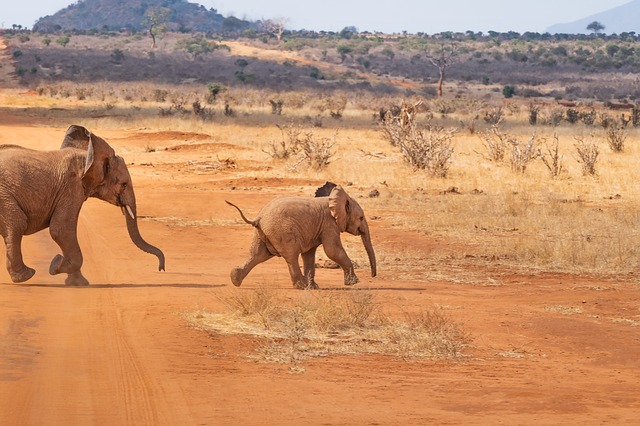 PICCOLI GRUPPI – TANZANIA