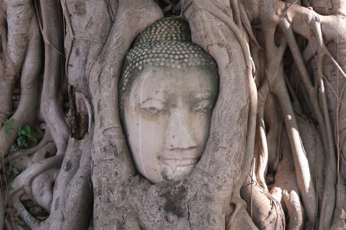 Viaggio fotografico in Thailandia – 15 NOV ’23