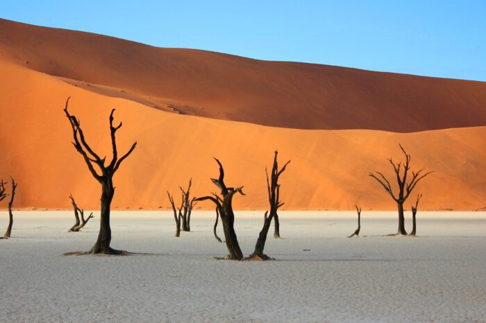 CAPODANNO in NAMIBIA – 26 dic ’23