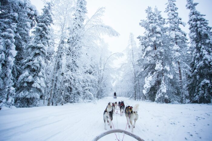 SPIRITO LIBERO – FINLANDIA