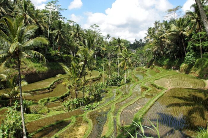 INDONESIA – Ubud, Nusa Lembongan e Nusa Dua