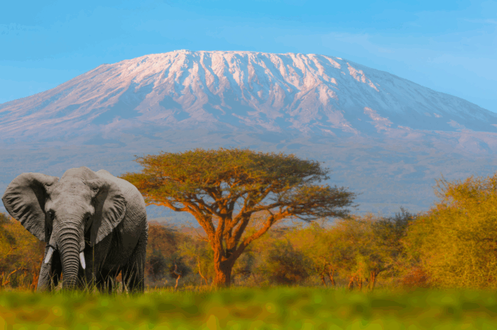 TOUR DI GRUPPO – CAPODANNO SAFARI E ZANZIBAR – 21 dic ’25