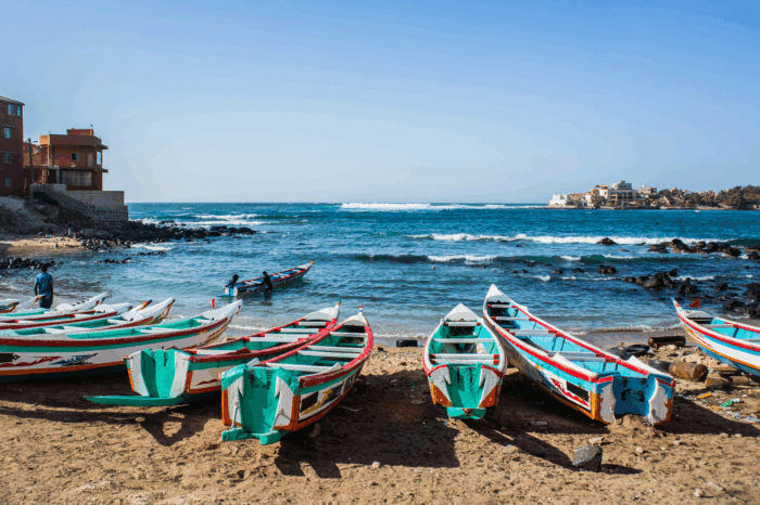PICCOLI GRUPPI – CAPODANNO IN SENEGAL – 27 dic ‘ 25
