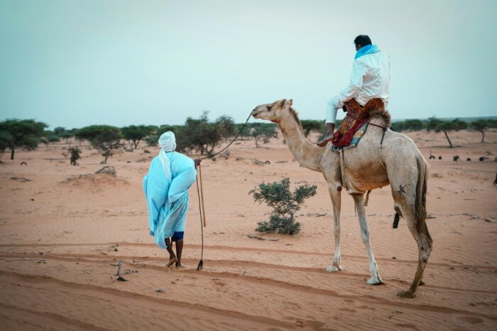 VIAGGIO FOTOGRAFICO – MAURITANIA Festival nomade – 27 nov ‘ 25