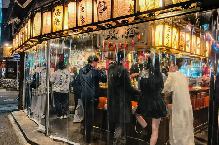 GRUPPI UNDER 45 – GIAPPONE CLASSIC YOUNG – più partenze